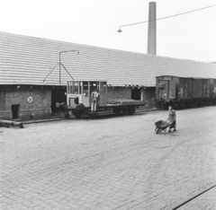 Magyarország, Budapest X., Maglódi út 6., Növényolaj és Szappangyár., 1959, Keveházi János, Budapest, gyártelep, Fortepan #197753