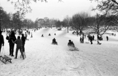 Magyarország, Tabán, Budapest I., szánkópálya a Naphegy utca és a Krisztina körút között., 1983, Szalay Zoltán, Budapest, Fortepan #197924