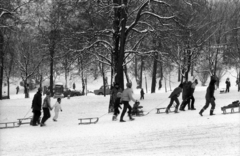 Magyarország, Tabán, Budapest I., szánkópálya a Naphegy utca és a Krisztina körút között. A felvétel a Kereszt utca közelében készült., 1983, Szalay Zoltán, Budapest, Fortepan #197925