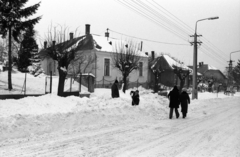 1987, Szalay Zoltán, Fortepan #197929