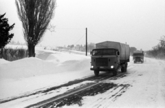 1987, Szalay Zoltán, Fortepan #197936