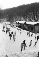 Magyarország, Budapest XII., Zugliget, jégpálya a megszűnt villamos-végállomás megmaradt épülete mellett., 1986, Szalay Zoltán, Budapest, Fortepan #198000