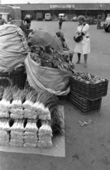 Magyarország, Budapest XIV., a felvétel a Bosnyák téri Vásárcsarnok melletti nagybani piacon készült., 1986, Szalay Zoltán, Budapest, Fortepan #198074