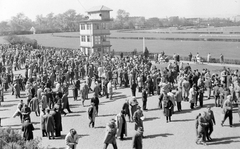 Magyarország, Budapest X., Albertirsai út, Lóversenypálya (később Kincsem Park), középen a célbírói torony., 1964, Gyöngyi, tömeg, csoportosulás, lóverseny, galopp, Budapest, Fortepan #1982