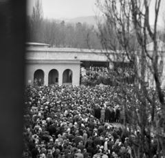 Magyarország, Budapest XII., Farkasréti temető, Kodály Zoltán temetése 1967. március 11-én., 1967, Szalay Zoltán, Budapest, Fortepan #198353