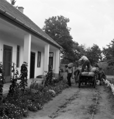 Magyarország, Lovasberény, 1968, Szalay Zoltán, csikó, tornác, lovaskocsi, Fortepan #198375