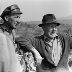 Hungary, Lovasberény, 1968, Szalay Zoltán, hat, photo aspect ratio: square, vine, leather cap, peasant, men, Fortepan #198383