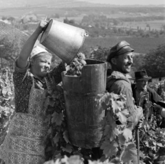 1969, Szalay Zoltán, képarány: négyzetes, szüret, bőr sapka, vödör, puttony, Fortepan #198402