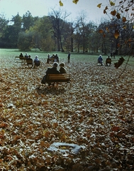 Magyarország, Margitsziget, Budapest, 1976, Fortepan, utcabútor, színes, ősz, pihenés, avar, Fortepan #19846