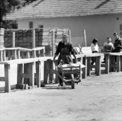 1971, Szalay Zoltán, old person, wheelbarrow, Fortepan #198491