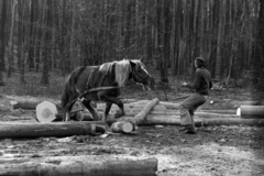 1976, Szalay Zoltán, Fortepan #198723