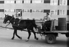 Magyarország, Budapest XIV., Füredi utcai lakótelep, Ond vezér útja a Rákosfalva parknál., 1975, Szalay Zoltán, Budapest, Fortepan #198838