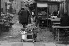 Magyarország, Debrecen, 1974, Szalay Zoltán, Fortepan #198884