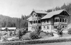 Szlovákia, Poprád, Virágvölgy, Svájci villa., 1900, Fortepan, erdő, villa, Tátra hegység, Fortepan #19896