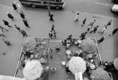 Hungary, Budapest V., Ferenciek tere (Felszabadulás tér), kilátás a 2-es számú házból az Egyetem eszpresszó teraszára., 1972, Szalay Zoltán, Budapest, Fortepan #198977