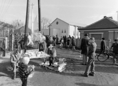 1974, Szalay Zoltán, Fortepan #199105