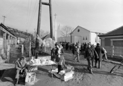 1974, Szalay Zoltán, Fortepan #199106