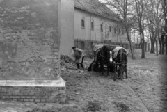 Hungary, Szeged, Mátyás király tér, háttérben az Alsóvárosi templom., 1976, Szalay Zoltán, chariot, Fortepan #199113