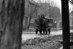 Hungary, Szeged, Pásztor utca., 1976, Szalay Zoltán, Fortepan #199119