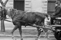 Hungary, Szeged, Boros József utca., 1976, Szalay Zoltán, Fortepan #199122