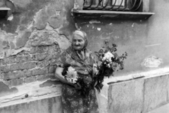 1976, Szalay Zoltán, florist, poverty, old person, Fortepan #199133