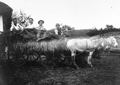 1930, Fortepan, falu, szekér, csoportkép, szamár, fogat, mezőgazdaság, munka, széna, Fortepan #19915