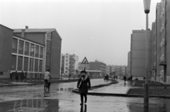 Magyarország, Debrecen, Ibolya utca a Viola utcától az Egyetem sugárút (Tanácsköztársaság útja) felé nézve., 1968, Szalay Zoltán, Fortepan #199175