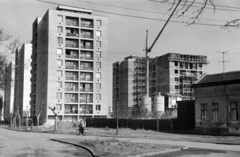 Magyarország, Debrecen, 1968, Szalay Zoltán, Fortepan #199185