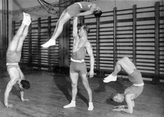 Magyarország, Budapest VIII., Szentkirályi utca 26., a Nemzeti Tornacsarnok épülete, az Óbudai Testgyakorlók Körének tornászai a tornateremben., 1935, Fortepan, sport, enteriőr, torna, tornaterem, sportoló, bordásfal, tornaszer, izom, Budapest, kézenállás, mutatvány, Fortepan #19925