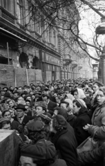 Magyarország, Budapest VI., Andrássy út (Magyar Ifjúság útja), sorban állók a Divatcsarnok megnyitása napján, 1957. január 2-án., 1957, Bauer Sándor, Budapest, kíváncsiság, tömeg, Fortepan #199510