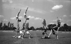 Hungary, People's Park, Budapest X., Építők pálya., 1955, Bauer Sándor, Budapest, feat, exercise, human pyramid, Fortepan #199542