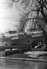 Magyarország,Balaton, Siófok, kikötő (korábbi MAC vitorláskikötő). A Lelle, a Csopak és a Tihany, az első három balatoni vízibusz a sólyán., 1957, Bauer Sándor, Tihany hajó, Csopak hajó, vízibusz, Fortepan #199545