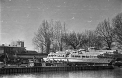 Magyarország,Balaton, Siófok, kikötő (korábbi MAC vitorláskikötő). A Lelle, a Csopak és a Tihany, az első három balatoni vízibusz a sólyán., 1957, Bauer Sándor, Tihany hajó, Csopak hajó, vízibusz, Fortepan #199547