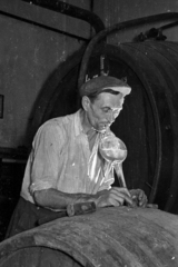 1955, Bauer Sándor, barrel, distillery, wine thief, Fortepan #199569