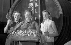 1955, Bauer Sándor, smile, barrel, fruit, working woman, distillery, wine thief, Fortepan #199570