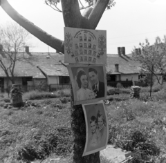 Magyarország, Óbuda, Budapest III., a felvétel az Újlaki téglagyár egyik munkáslakása előtt készült a Körte utca - Ágoston utca közötti területen., 1973, Borbély Mihály, Budapest, fa, tablókép, fénykép, Fortepan #199792