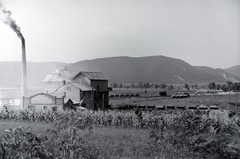 Magyarország, Szob, kőzúzda a Szobi Gazdasági Vasút állomásánál, az Ipoly folyó feletti vasúti híd hídfőjénél., 1941, Eisner Ferenc, kisvasút, kőzúzda, vasúti rakodó, Fortepan #200341