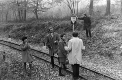 Hungary, Budapest, Gyermekvasút (Úttörővasút)., 1970, Erős Péter, woods, railway, rails, semaphor, mask, Fortepan #200477