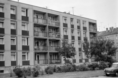 Hungary, Kazincbarcika, Kazincbarcika Ifjúmunkás tér 16. és 14. számú ház hátsó homlokzata., 1974, Földvári Mihály, Fortepan #200739