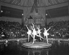 Hungary, Budapest XIV., a Budapest Vízirevü előadása a Fővárosi Nagycirkuszban., 1958, Kotnyek Antal, dance, ballet, Budapest, Fortepan #20082