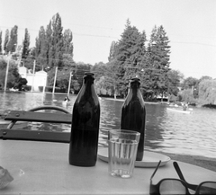 Romania,Transylvania, Cluj-Napoca, Sétatér (Parcul Central), csónakázótó. A felvétel a korcsolya csarnok teraszán készült, balra háttérben a Kioszk épülete., 1969, Fortepan, boating, water surface, still life, glasses, drinking, glass, beer bottle, Fortepan #2013