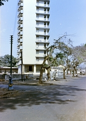 Mali, 1963, Gergely György, Fortepan #201323