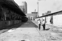 Hungary, Tiszaújváros, (Tiszaszederkény), Tiszai Vegyi Kombinát., 1969, Gömöri család, Fortepan #201352