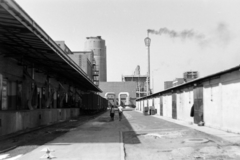 Hungary, Tiszaújváros, (Tiszaszederkény), Tiszai Vegyi Kombinát., 1969, Gömöri család, Fortepan #201353