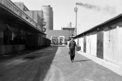 Hungary, Tiszaújváros, (Tiszaszederkény), Tiszai Vegyi Kombinát., 1969, Gömöri család, Fortepan #201354