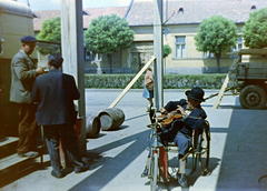 1961, Gömöri család, colorful, violin, disabled, Fortepan #201442