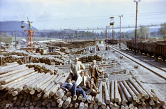 Magyarország, Tatabánya, fatelep a mai Fatelepi bekötőút nyugati oldalán., 1960, Gömöri család, színes, földmérő, vasútállomás, farakás, szállítószalag, Fortepan #201446