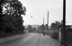 1957, Handa család, street view, Fortepan #201515