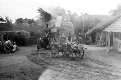 1955, Handa család, threshing machine, chariot, Fortepan #201523