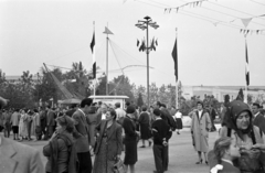 Hungary, Budapest X., Albertirsai úti vásár területe, Országos Mezőgazdasági Kiállítás és Vásár., 1955, Handa család, Budapest, visitors, fair, Fortepan #201536